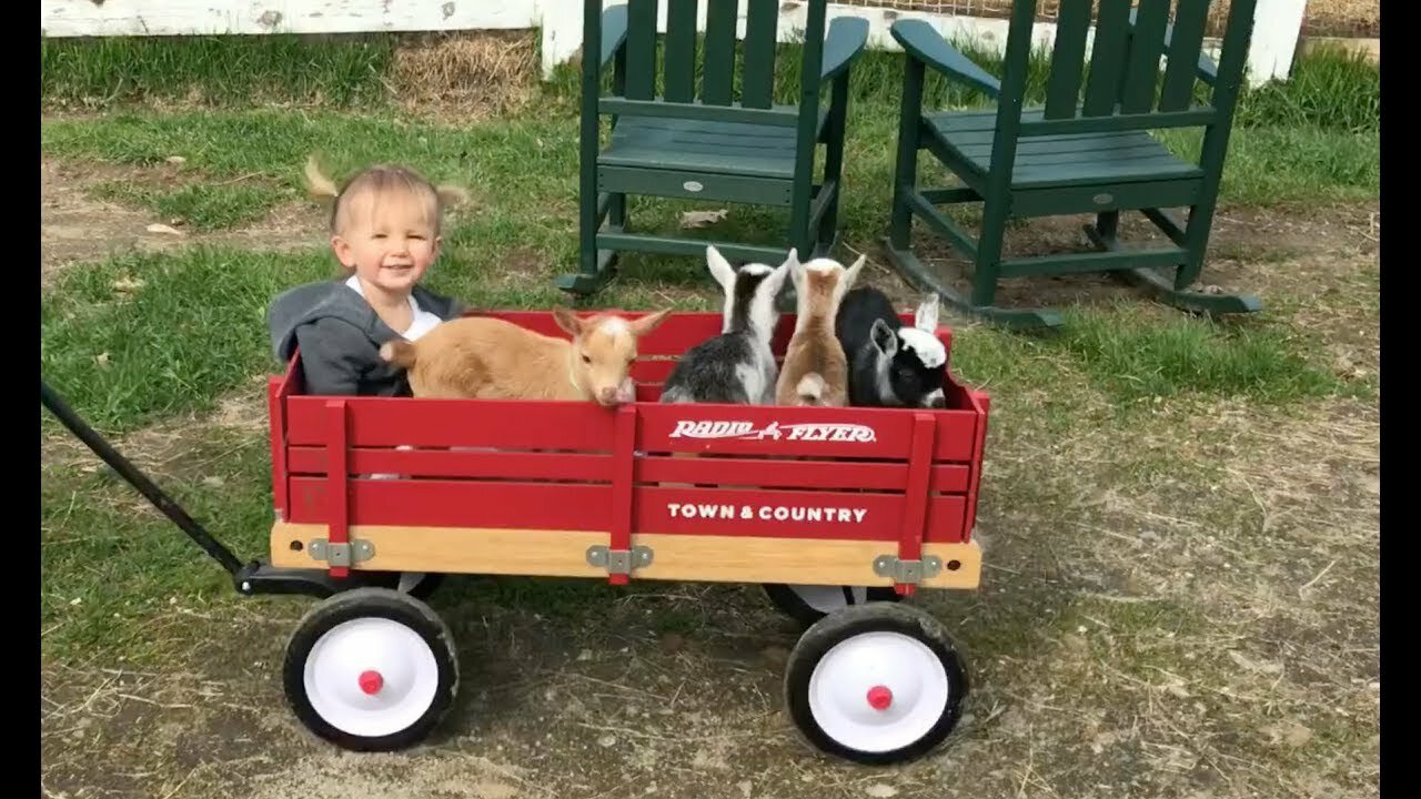 Cutest Wagon Ride Ever