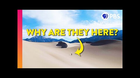 Sand Dunes Shouldn’t Exist (Here’s Why They Do)