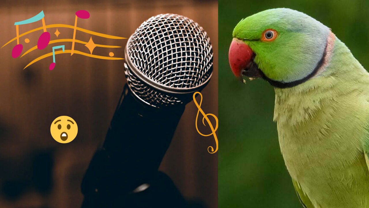 The parrot sings a song that people are surprised to see