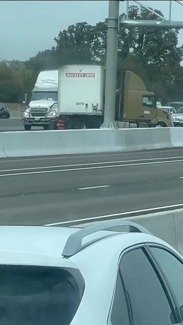 Highway 401 Accident Toronto