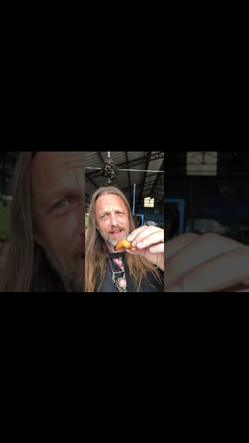 Medicinal Maggot!?!? Eating a Giant Raw Palm Grub