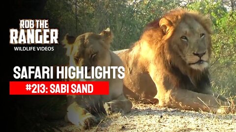 Safari Highlights #213: 23 - 27 May 2013 | Sabi Sand Nature Reserve | Latest Wildlife Sightings