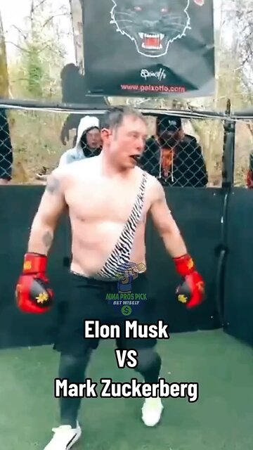 Elon Musk beast