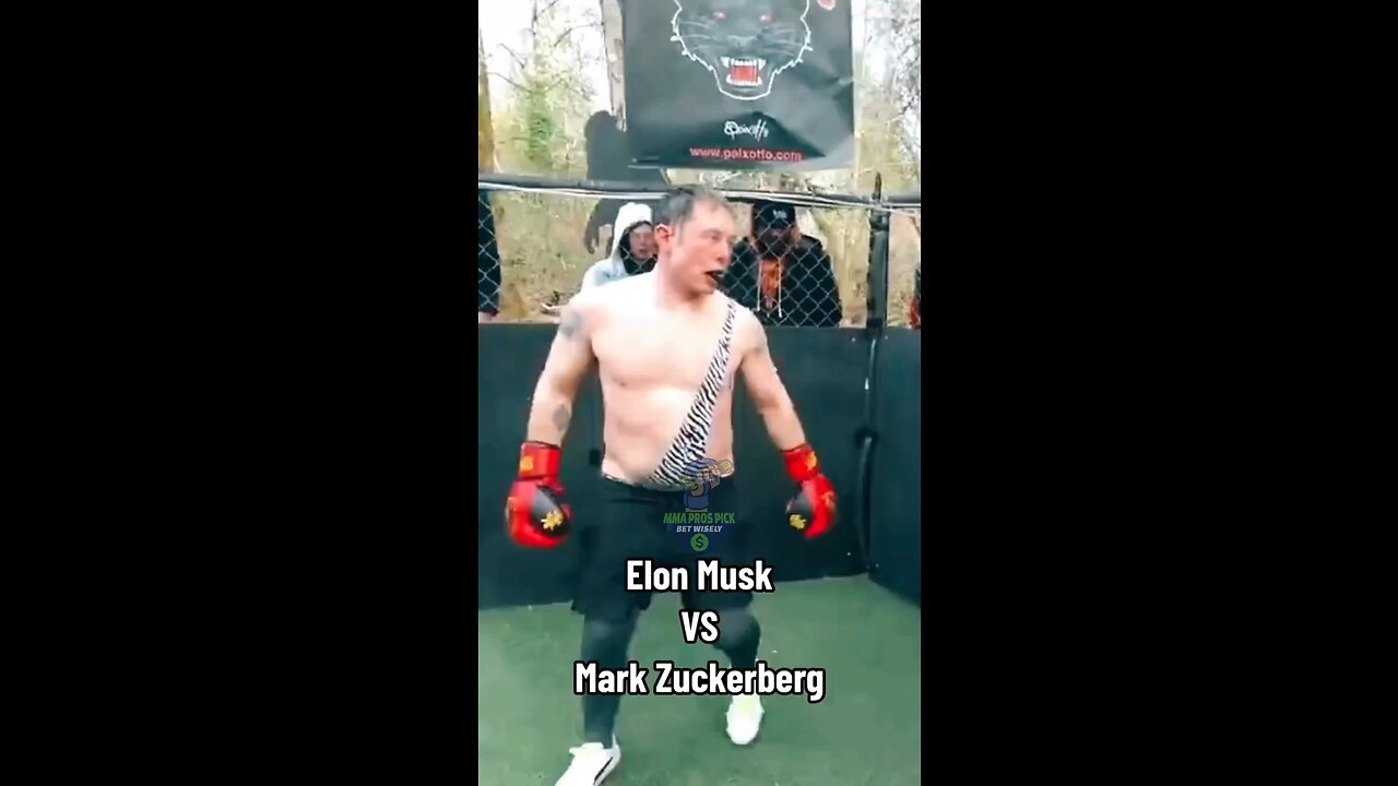 Elon Musk beast