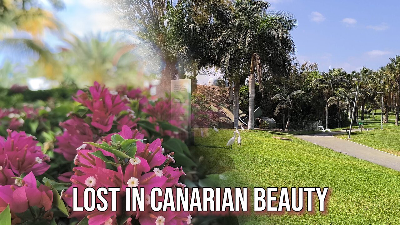 Endless Summer in Gran Canaria: Lost in Paradise? 🌺🌴