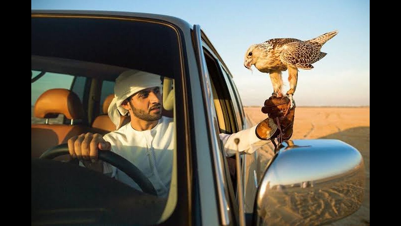 Sheikh Hamdan (فزاع 𝙁𝙖𝙯𝙯𝙖) Yosemite National Park / USA 🇺🇸