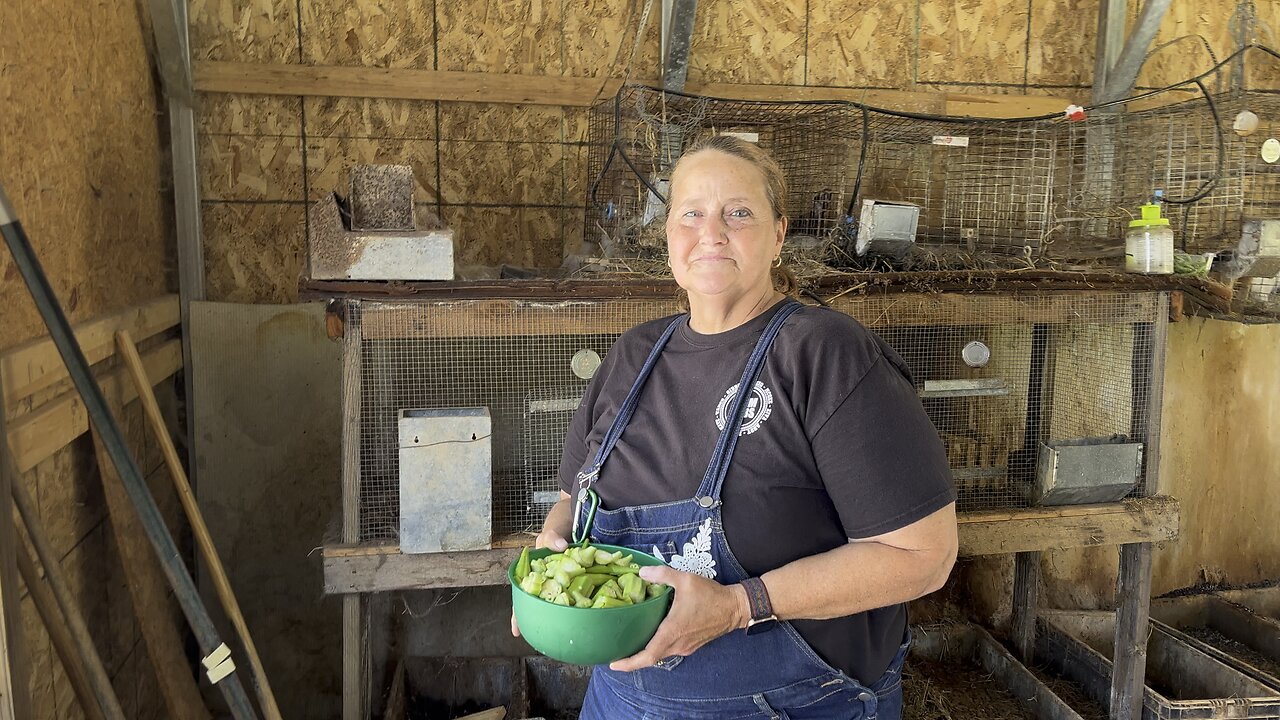 Nothing Goes To Waste 🐇 Chamberlin Family Farms #okra #rabbits #farming #homesteading