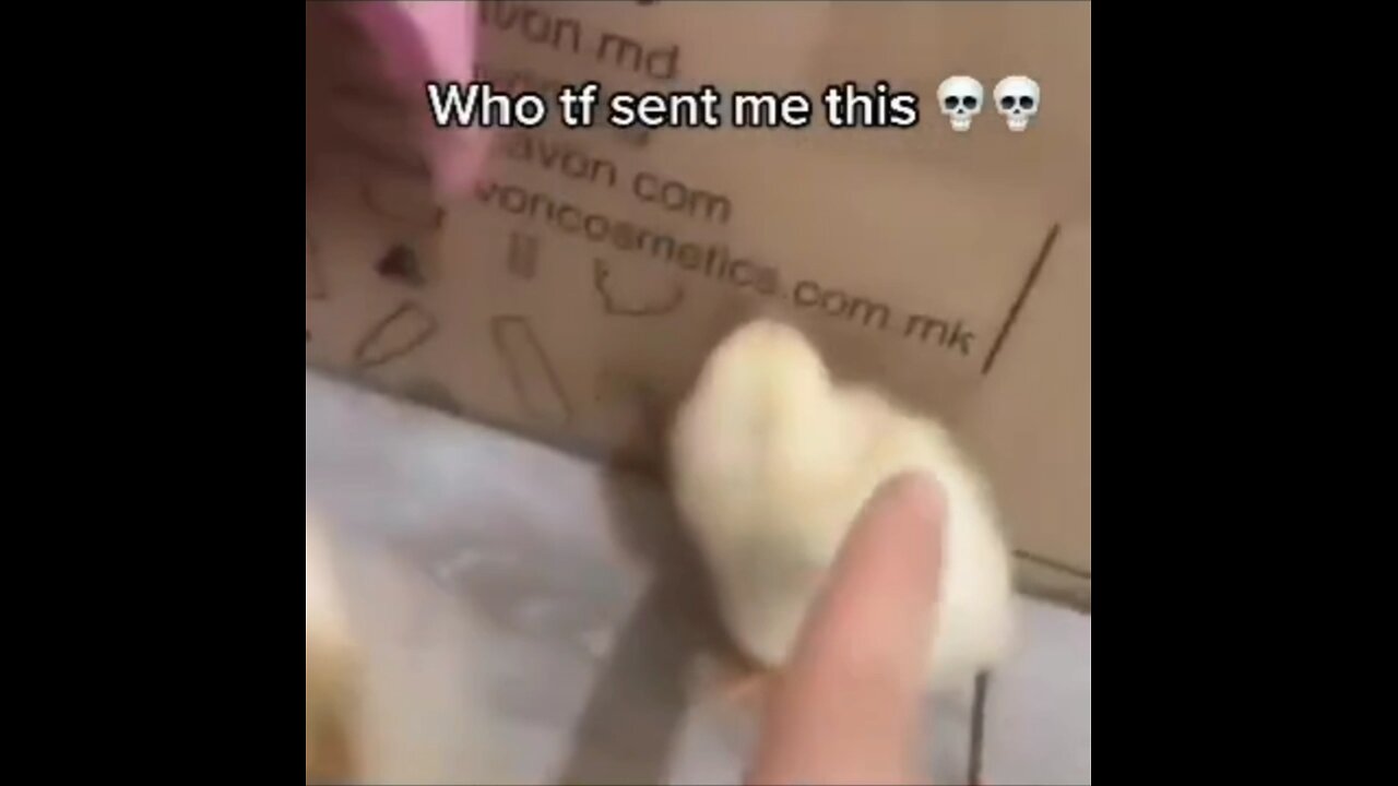 funny memes pt 1