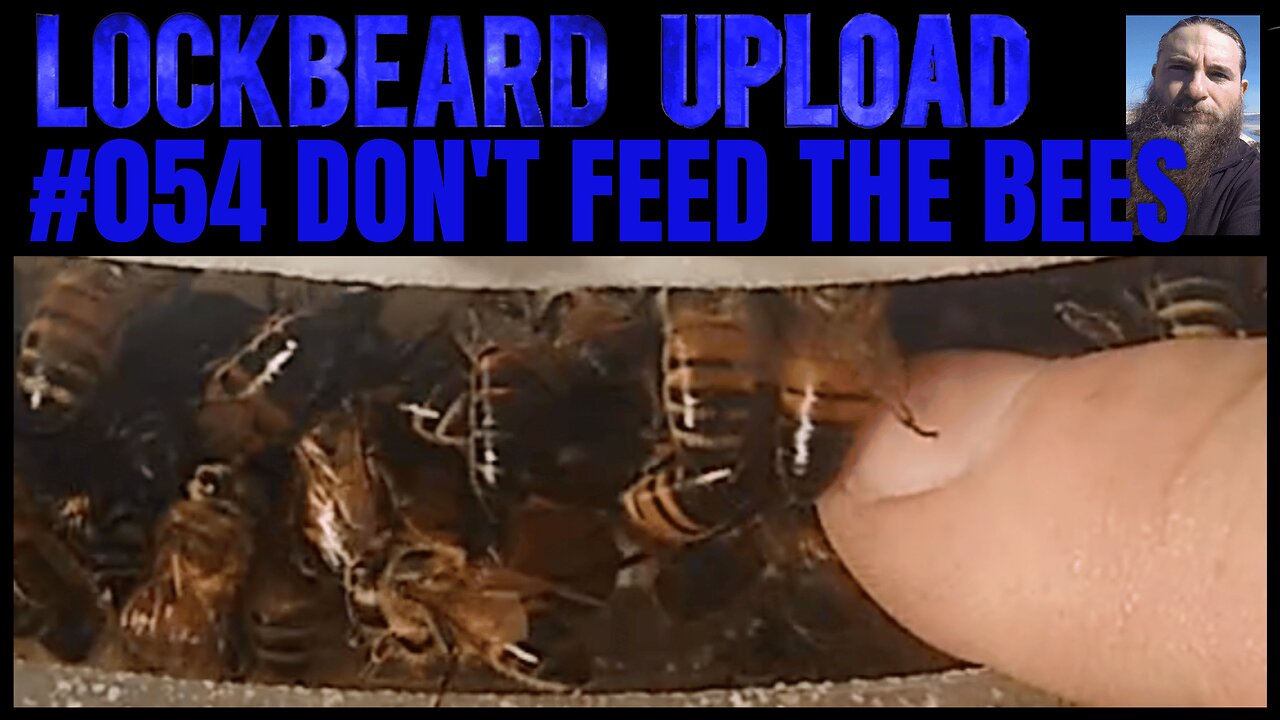 UPLOAD #054. Don't Feed The Bees