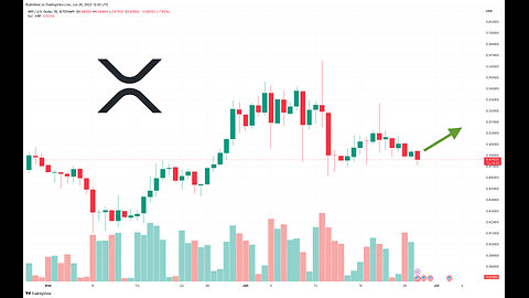 XRP influencer Exodus