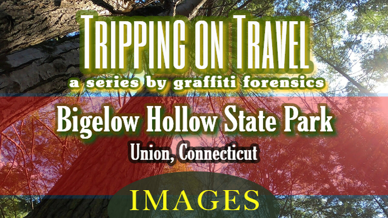 Tripping on Travel: Bigelow Hollow State Park, IMAGES