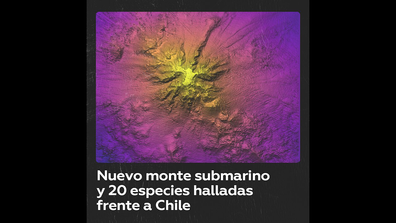 Descubren un enorme monte submarino y 20 nuevas especies cerca de costa de Chile