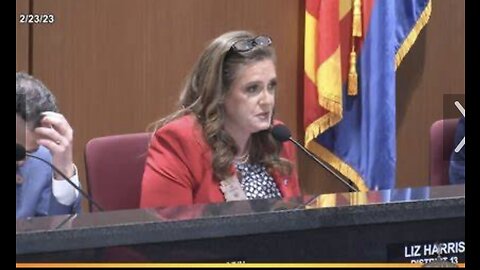 Liz Harris is Replaced by Julie Willoughby - Maricopa BOS is POS!