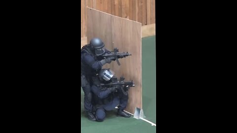 Japanese Police: Special Assault Team