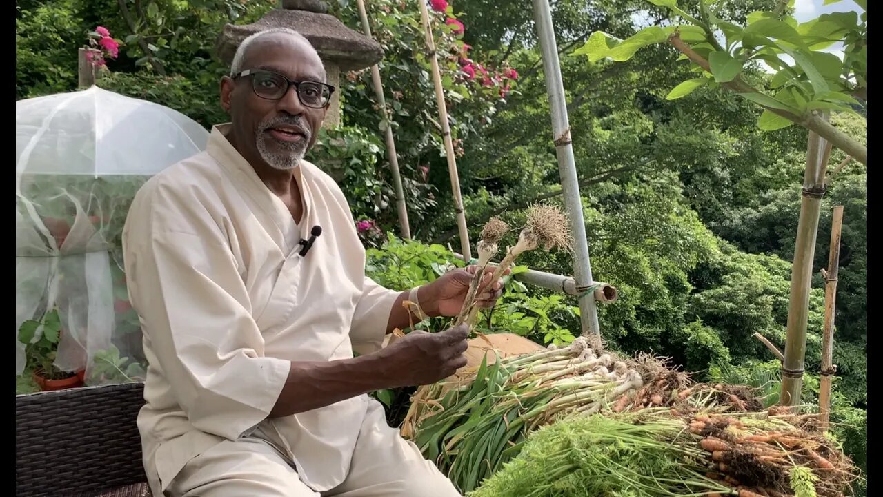 Harvesting Garlic, Planting Okra