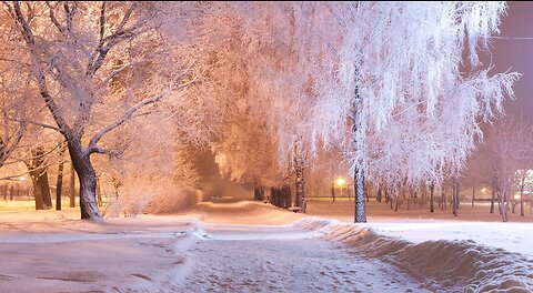 Winter Melody