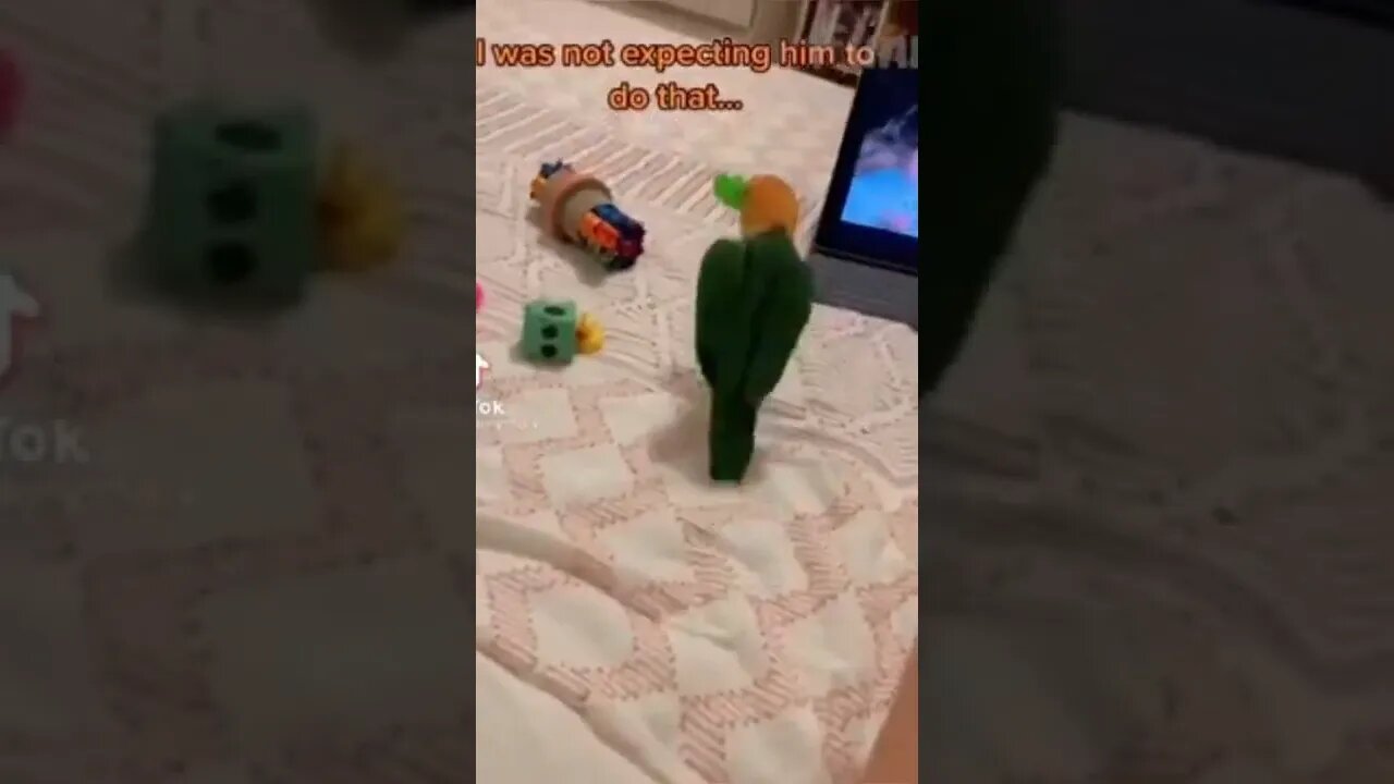 OMG so funny video #shorts