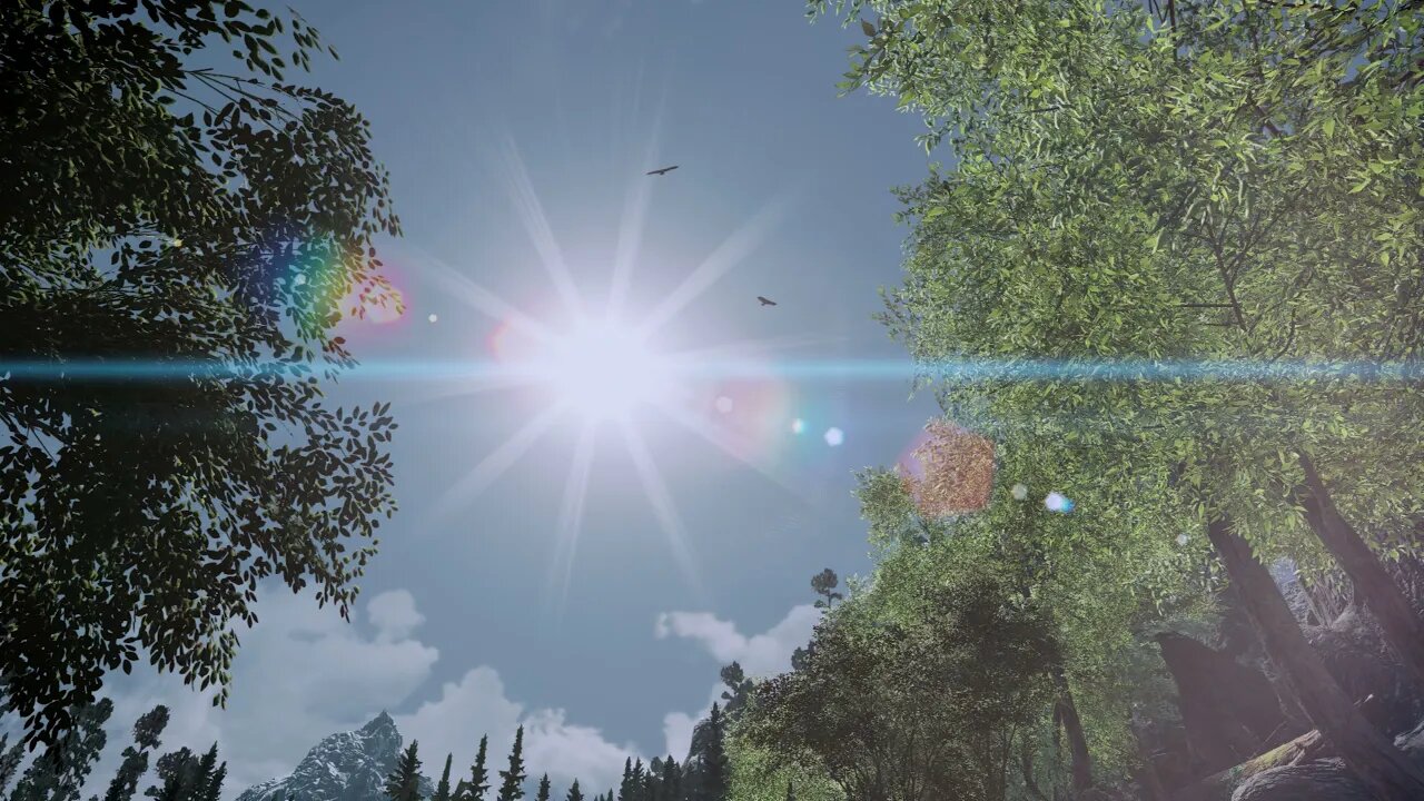 Skyrim Flying Crows LE/SE