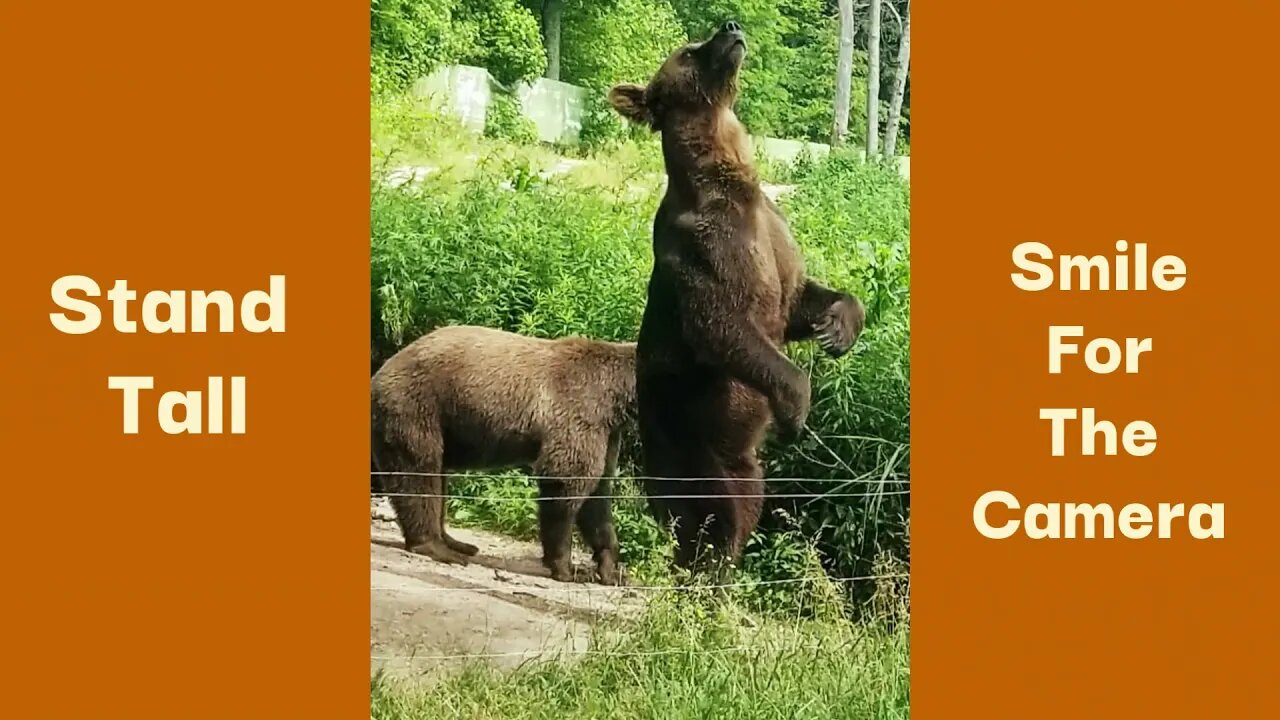 Six Flags Great Adventure Wild Safari Drive Thru Opening 2020 - Family Time During the Corona Virus