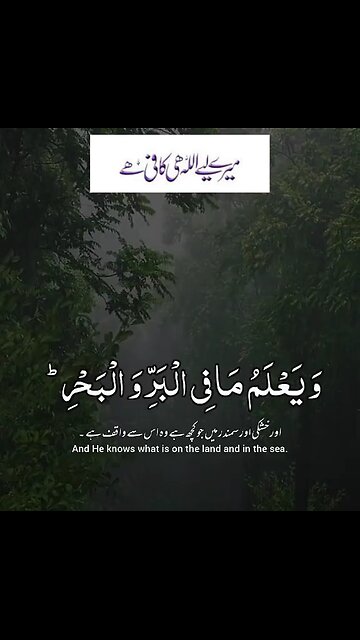 mere Liye Mera Allah Hi Kafi hai