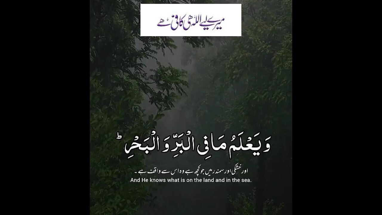 mere Liye Mera Allah Hi Kafi hai