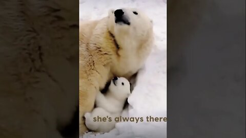 Mothers Love 💕 😘please get this viral | #viral | #funnydogs | #trending | #shorts