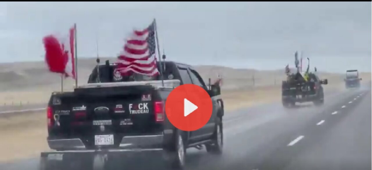 Freedom Convoy Footage January 24 2022