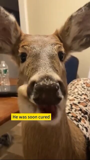 Kindness has no boundaries!