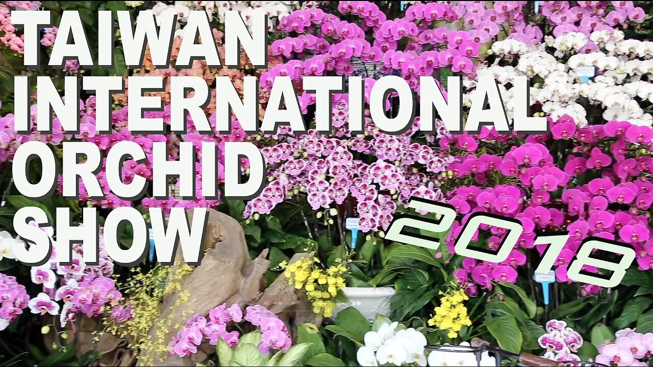 2018臺灣國際蘭展 Taiwan International Orchid Show 2018