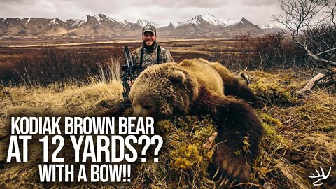 KODIAK Brown Bear at 12 YARDS....WITH A BOW?!!!