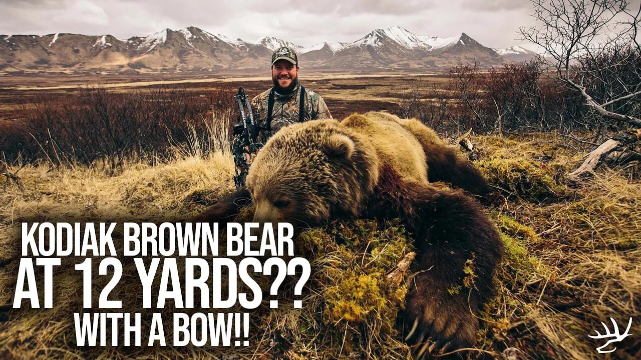 KODIAK Brown Bear at 12 YARDS....WITH A BOW?!!!