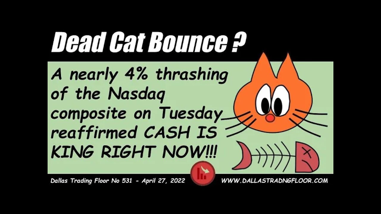 Dead Cat Bounce ?