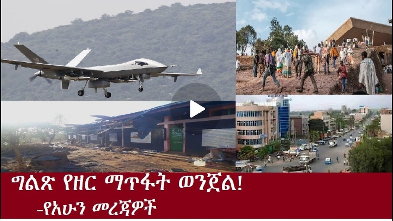 ግልጽ የዘር ማጥፋት ወንጀል!-የአሁን መረጃዎች Nov 8,2024 #dere news #dera zena #zena tube #derejehabtewold