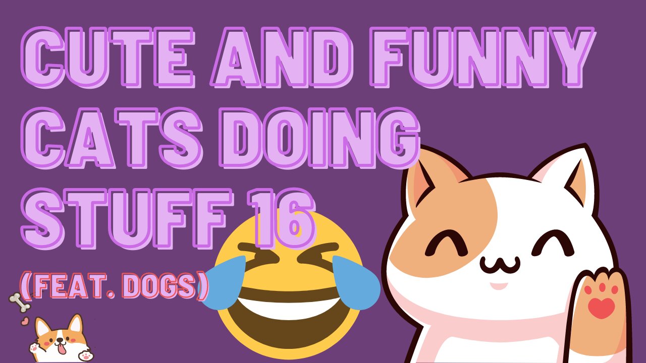 Cute and Funny Cats Doing Stuff 16 (Feat. Dogs)