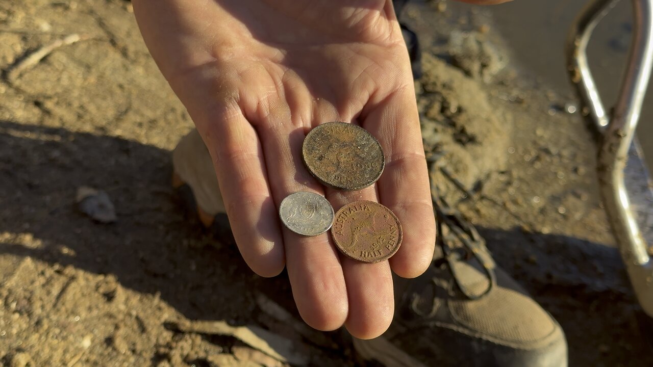 Silver In The Water Hole