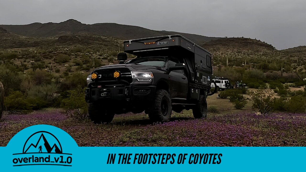 In the Footsteps of Coyotes