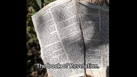 Bible Found in NC Wrapped around a pole by Hurricane Helene, Open to Revelations 14 & 15 ('Biblical omen uncovered')