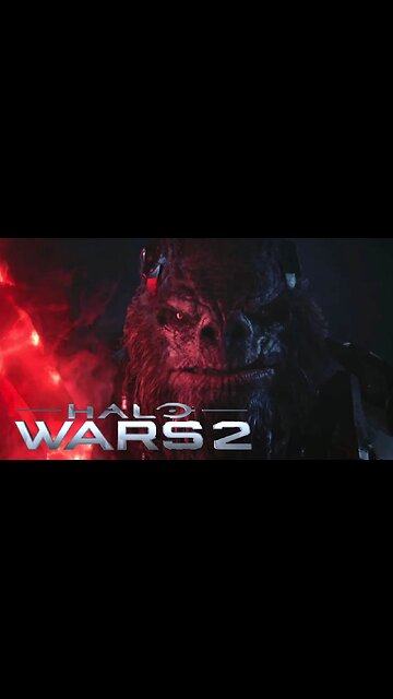 XBOX- HALO WOR 2: Windows PC