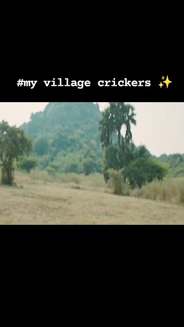 my village crickets