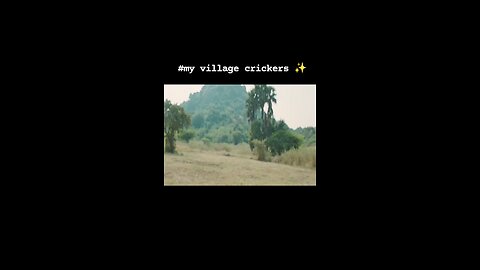 my village crickets