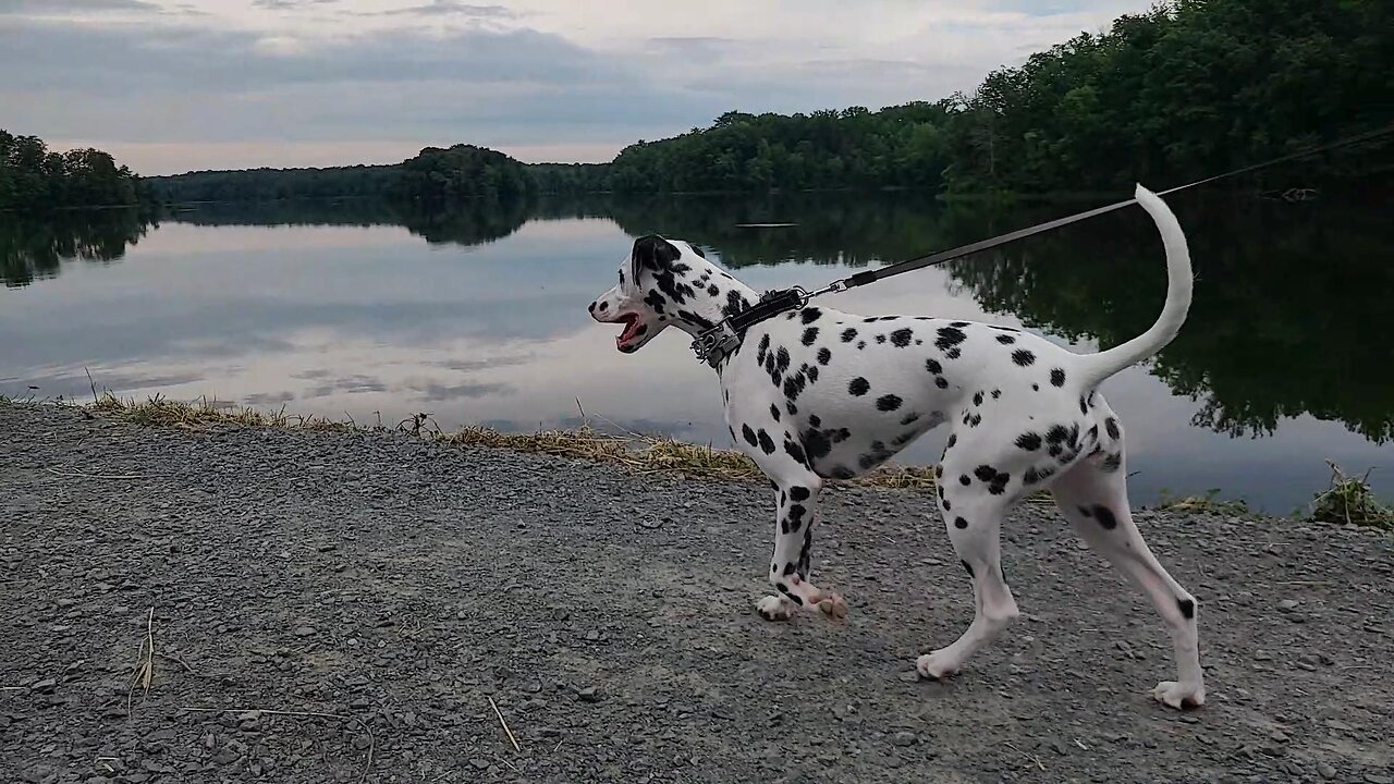 Luna Visits Lake Burke in NOVA