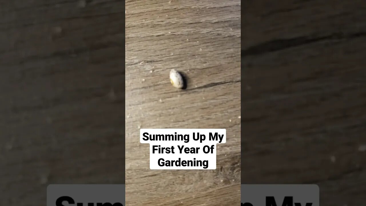 Summing Up My First Year Of Doing The Gamer Garden #shorts #gaming #gardening # memes