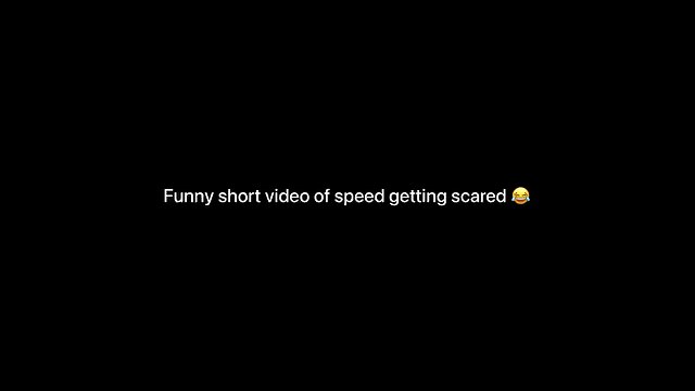 I show speed getting scared 😂