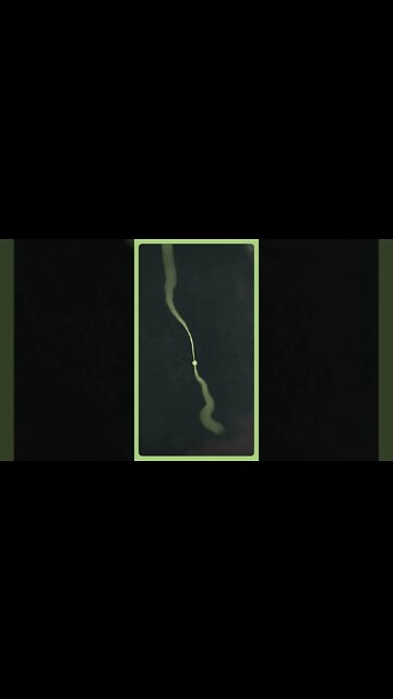 Exploring Porter Scrub - Hiking Map