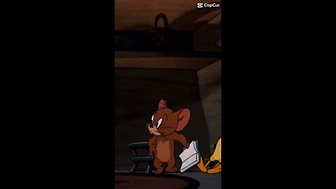 Funny Tom and Jerry