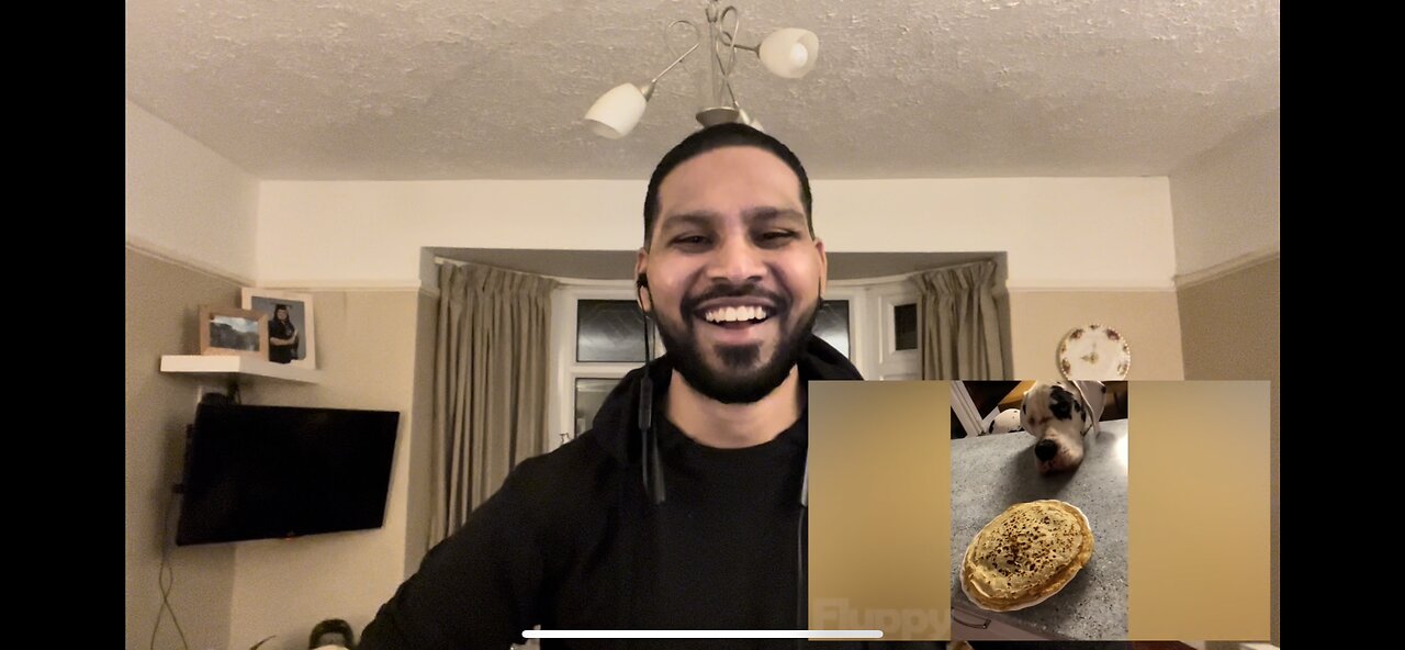 The best Dog videos/no talking reaction by #Y2K🦁