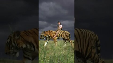 Baby riding a big cat shopping