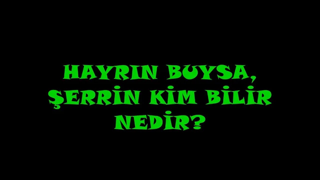 HAYRIN BUYSA, ŞERRİN KİM BİLİR NEDİR?