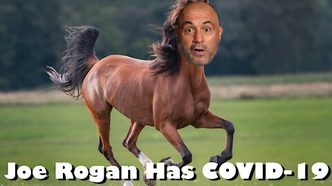 Joe Rogan has COVID