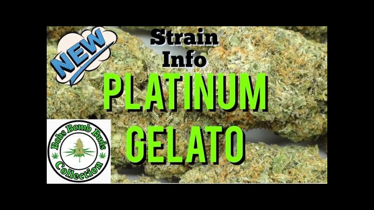 Platinum Gelato